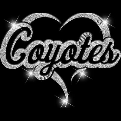 GLT77 SILVER GLITTER Thumbnail