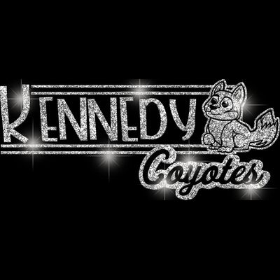 GLT101 SILVER GLITTER Thumbnail